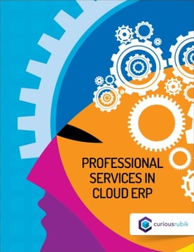 Professional_Services_in_Cloud_ERP.png