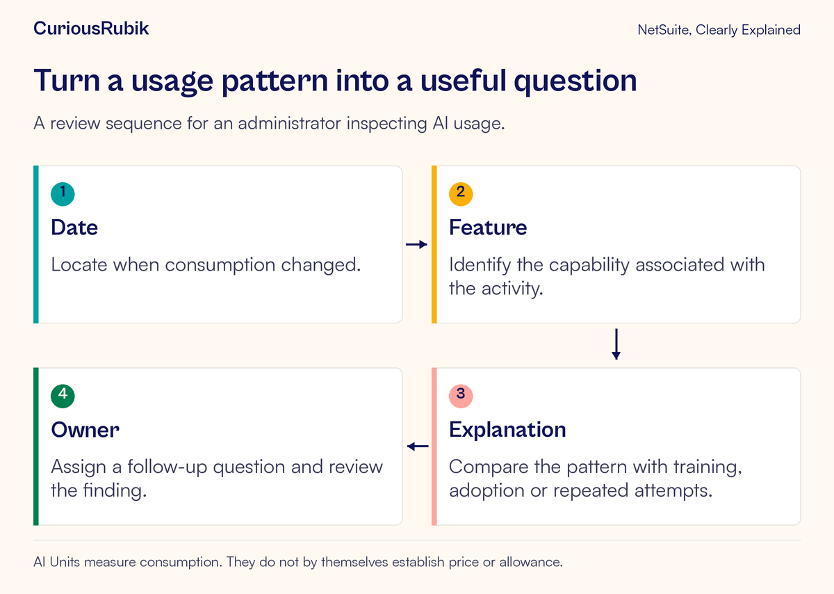 Usage review follows date, feature, possible explanation and an owner; no price or allowance is inferred.